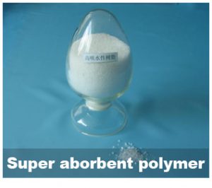 Super Absorbent Polymer